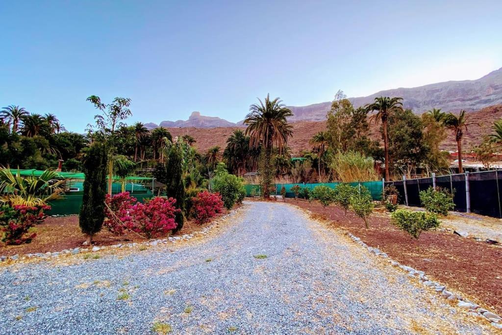 Near Fataga &
