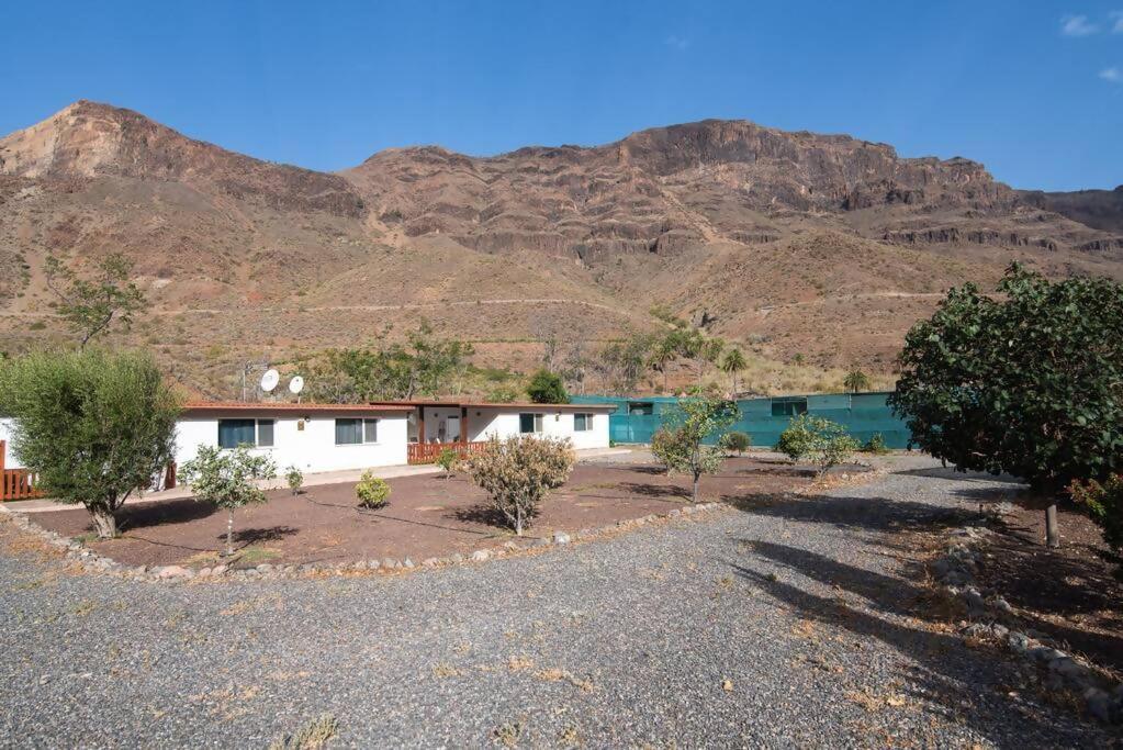 Near Fataga & Apartment