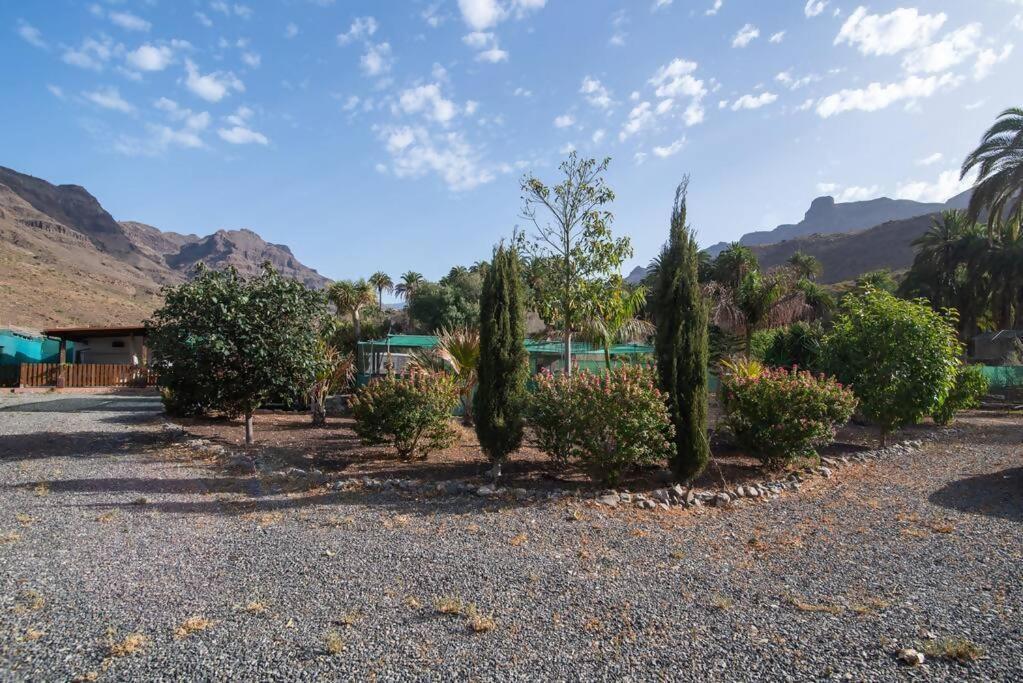 Near Fataga &